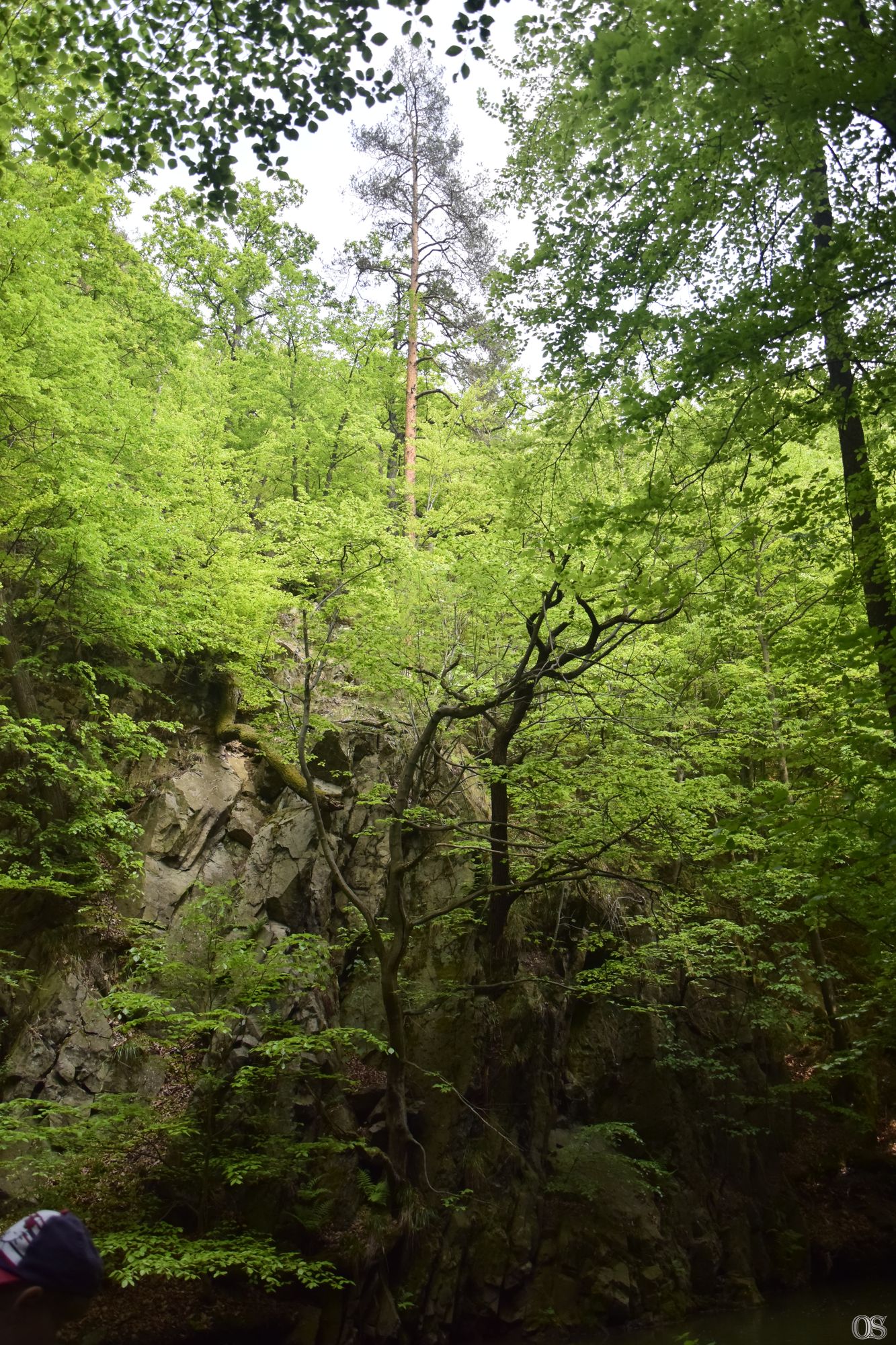 Sciezka Hochbergow 30.jpg
